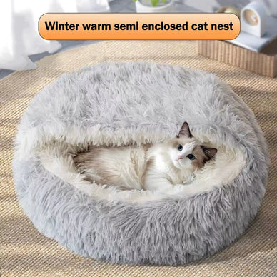 Transform Your Cat's Comfort Today